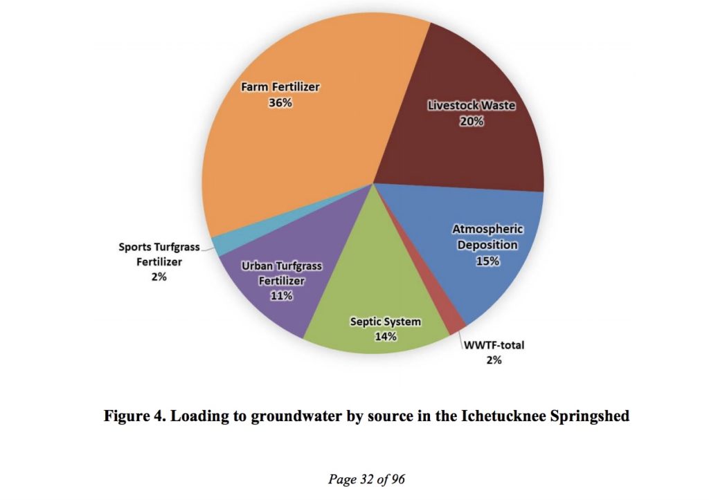 Nitrogen loading to groundwater by source in the Ichetucknee springshed. Graphic from the Santa Fe River Basin Management Action Plan, Florida Department of Environmental Protection, June 2018.